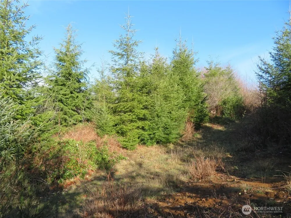1478 XXX E Hoquiam Road Hoquiam, WA 98550