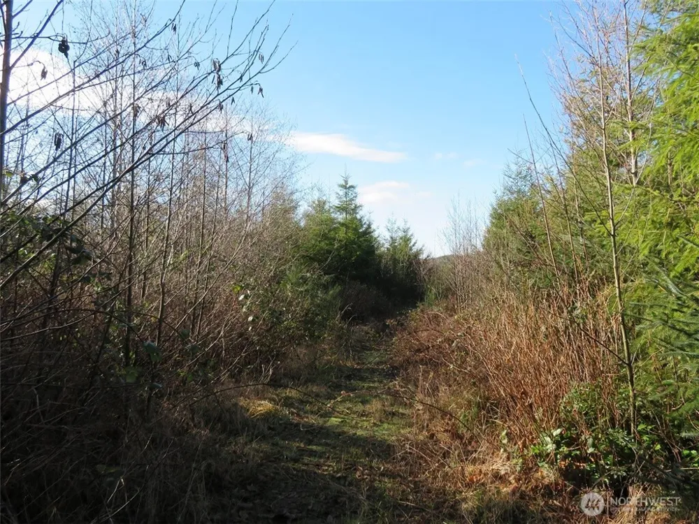 1478 XXX E Hoquiam Road Hoquiam, WA 98550