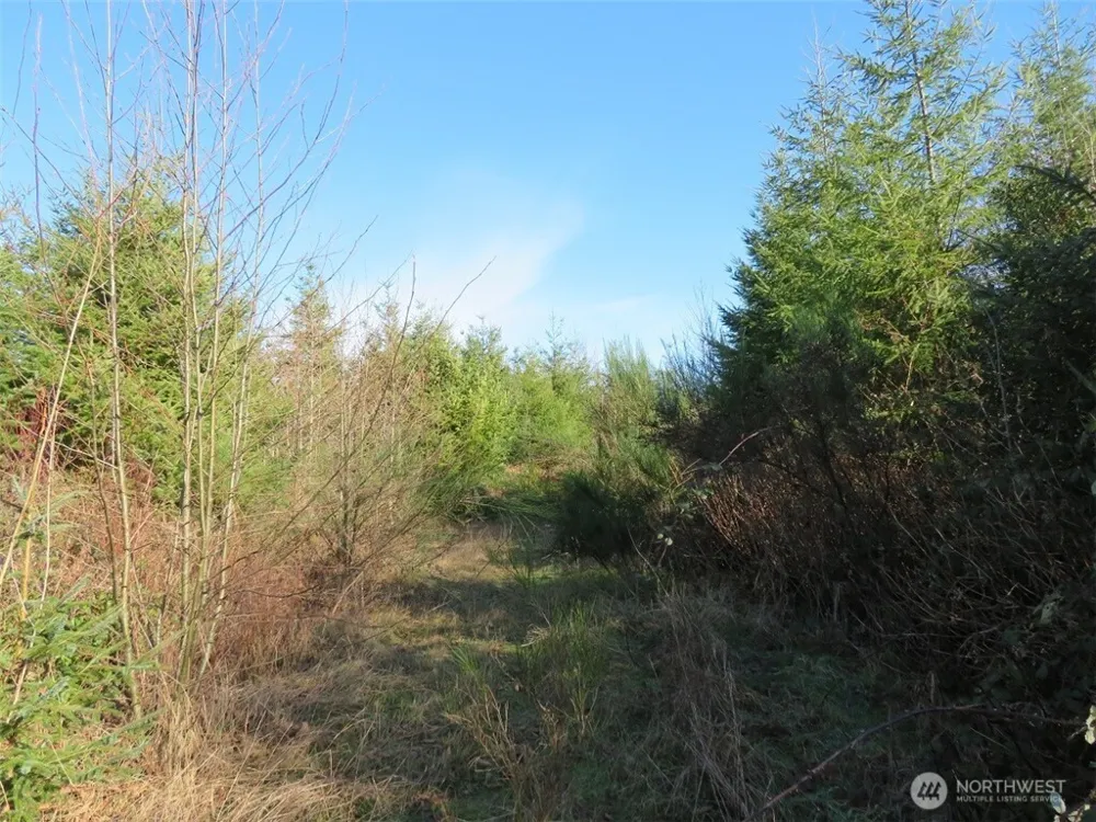 1478 XXX E Hoquiam Road Hoquiam, WA 98550