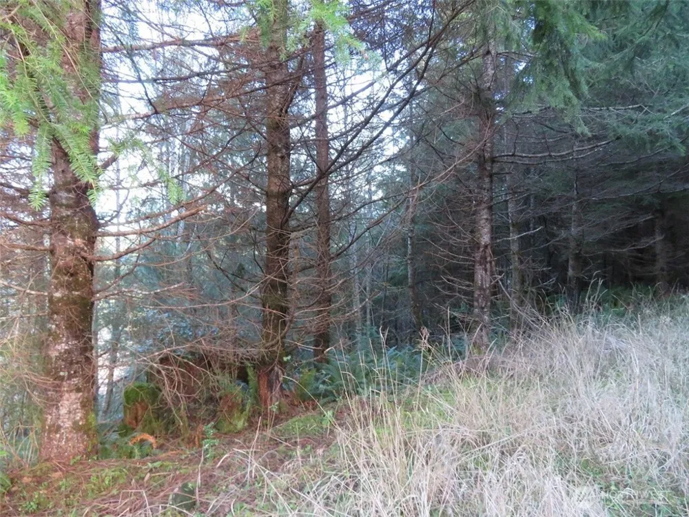 1478 XXX E Hoquiam Road Hoquiam, WA 98550