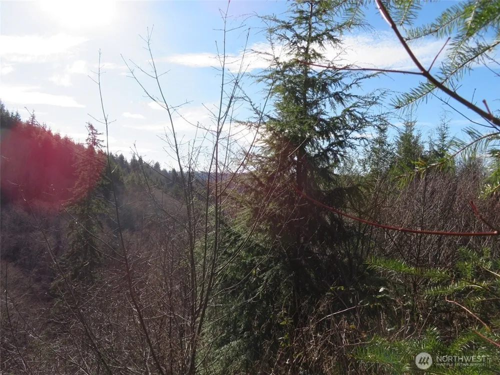 1478 XXX E Hoquiam Road Hoquiam, WA 98550