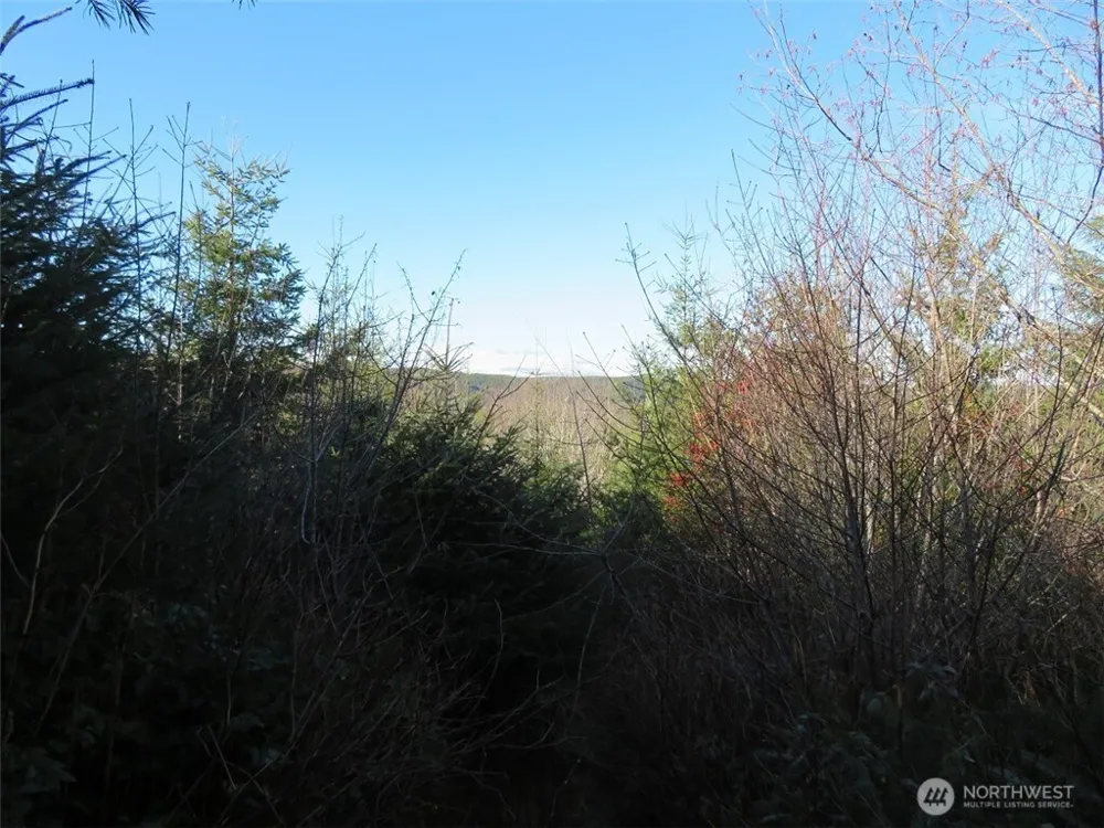 1478 XXX E Hoquiam Road Hoquiam, WA 98550
