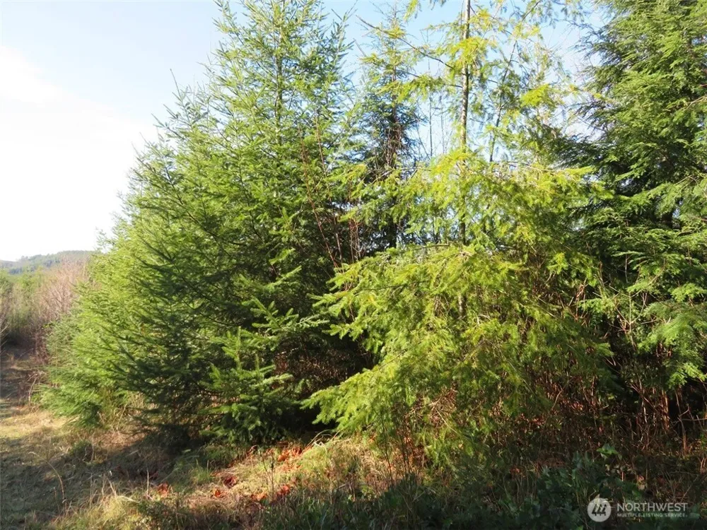 1478 XXX E Hoquiam Road Hoquiam, WA 98550