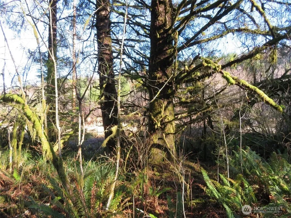 1478 XXX E Hoquiam Road Hoquiam, WA 98550