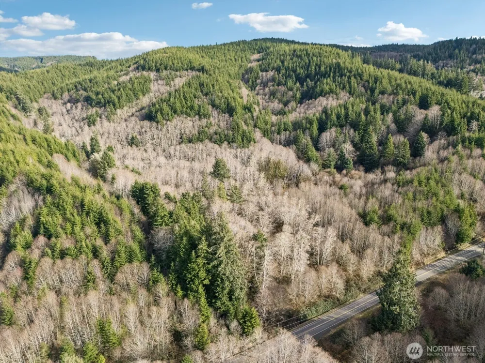 1478 XXX E Hoquiam Road Hoquiam, WA 98550