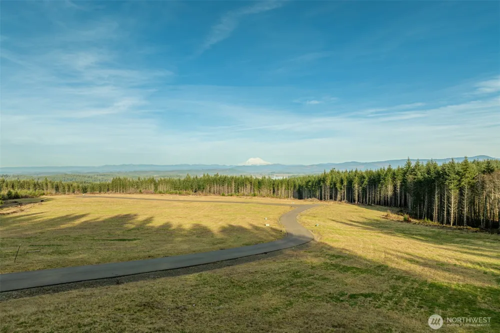116 Silverwood Drive Castle Rock, WA 98611