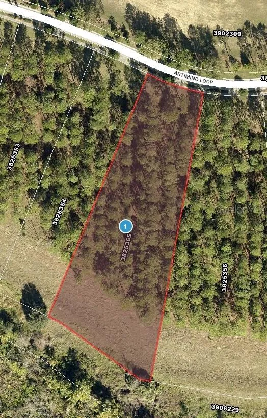 16822 ARTIMINO LOOP Montverde, FL 34756