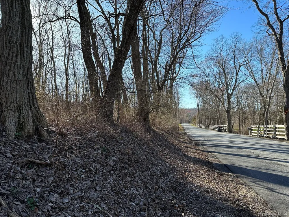 Schoolhouse Road Staatsburg, NY 12580