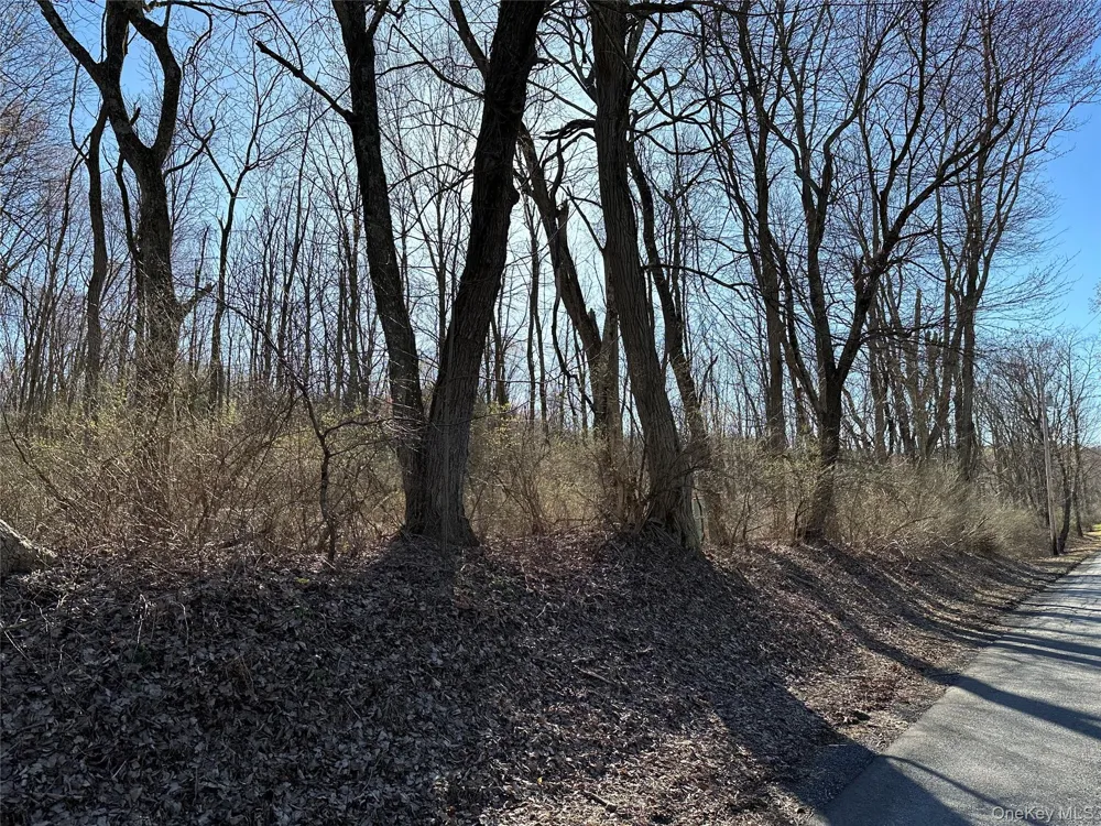 Schoolhouse Road Staatsburg, NY 12580