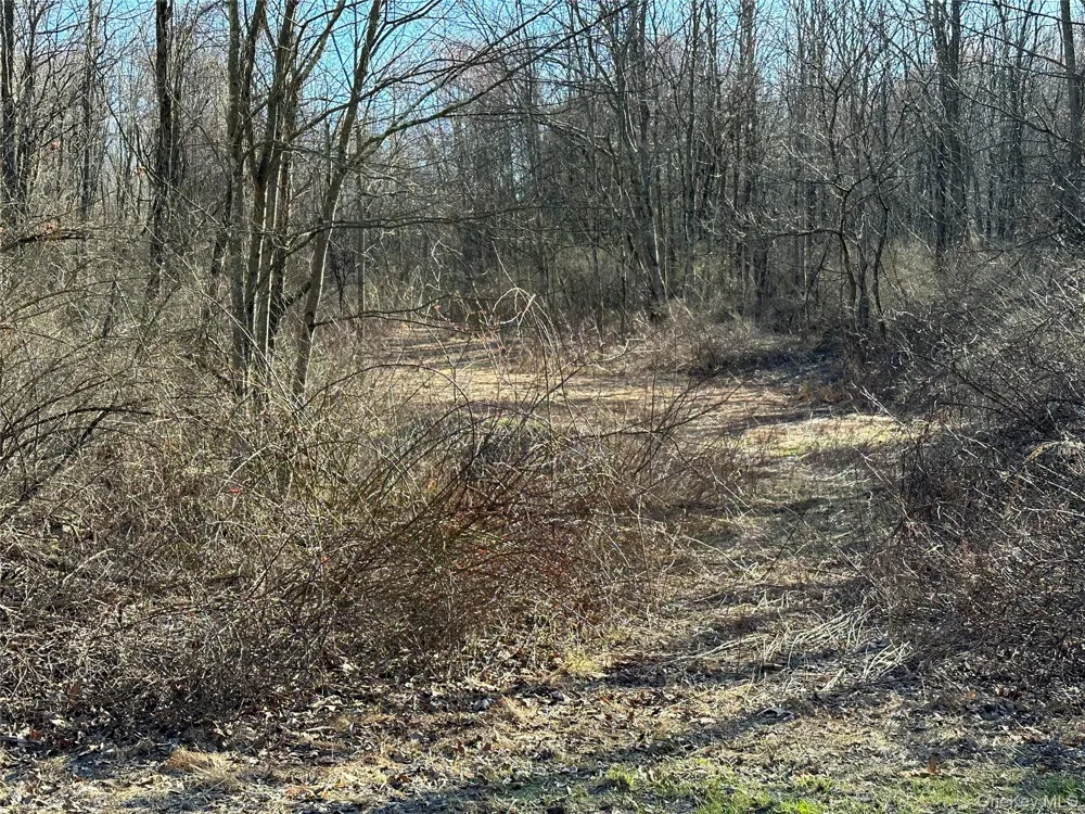 Schoolhouse Road Staatsburg, NY 12580