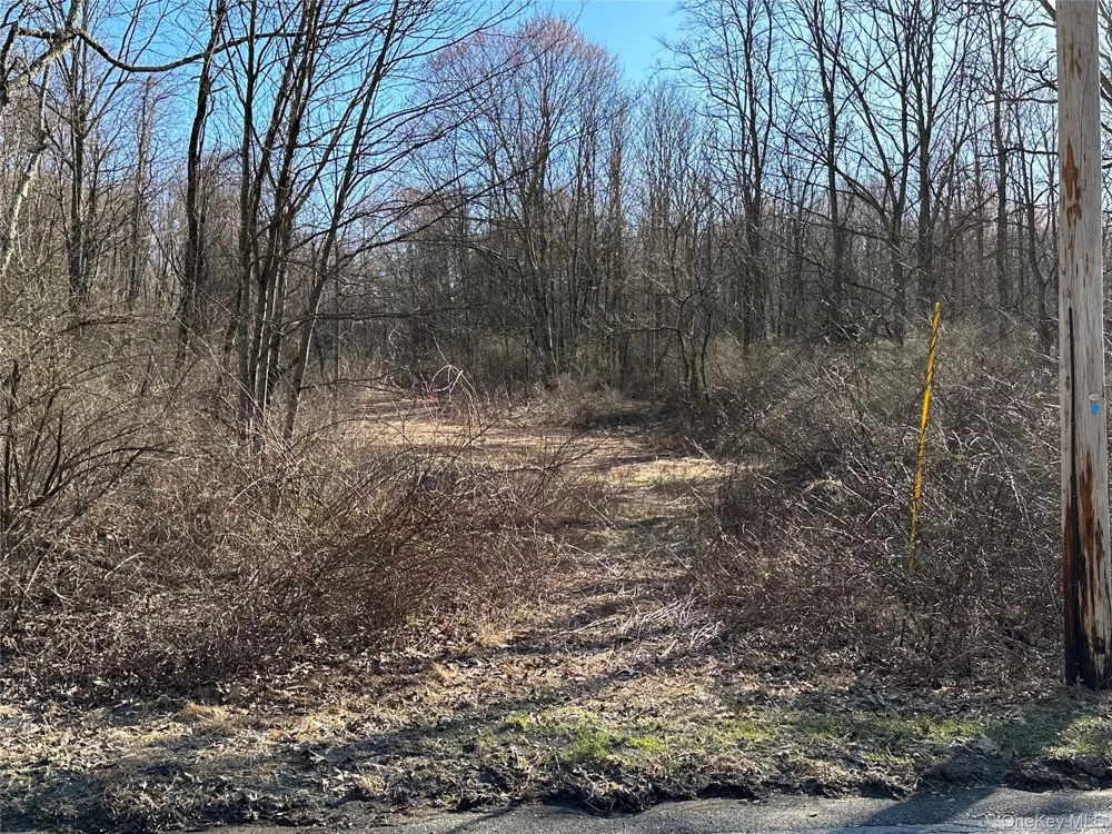 Schoolhouse Road Staatsburg, NY 12580