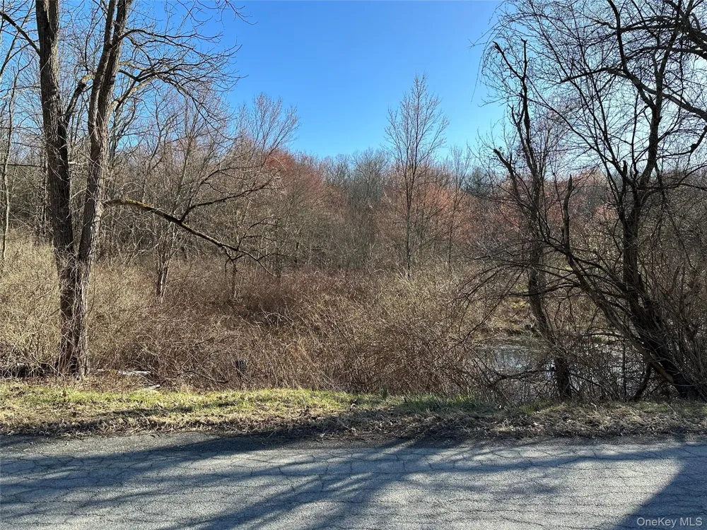 Schoolhouse Road Staatsburg, NY 12580