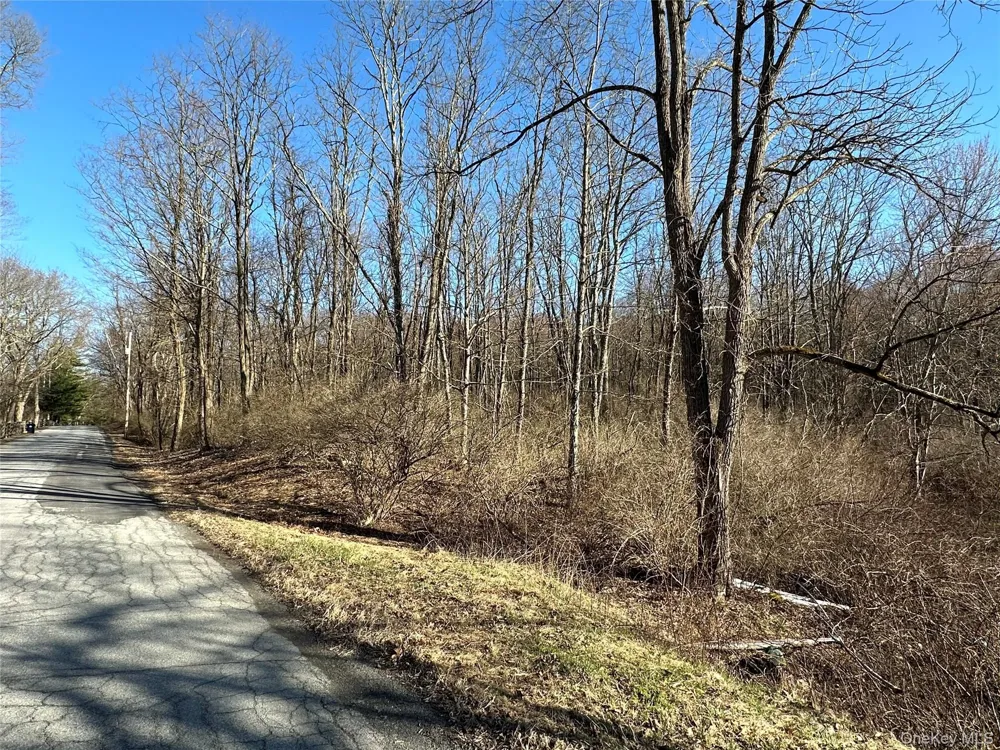 Schoolhouse Road Staatsburg, NY 12580
