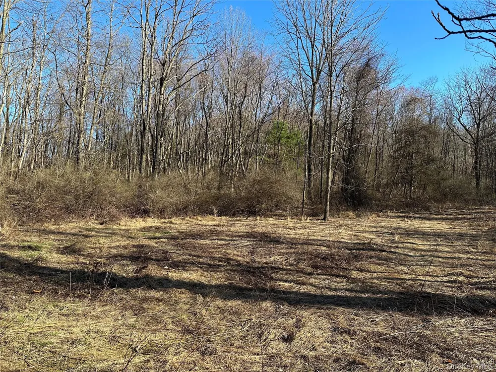 Schoolhouse Road Staatsburg, NY 12580