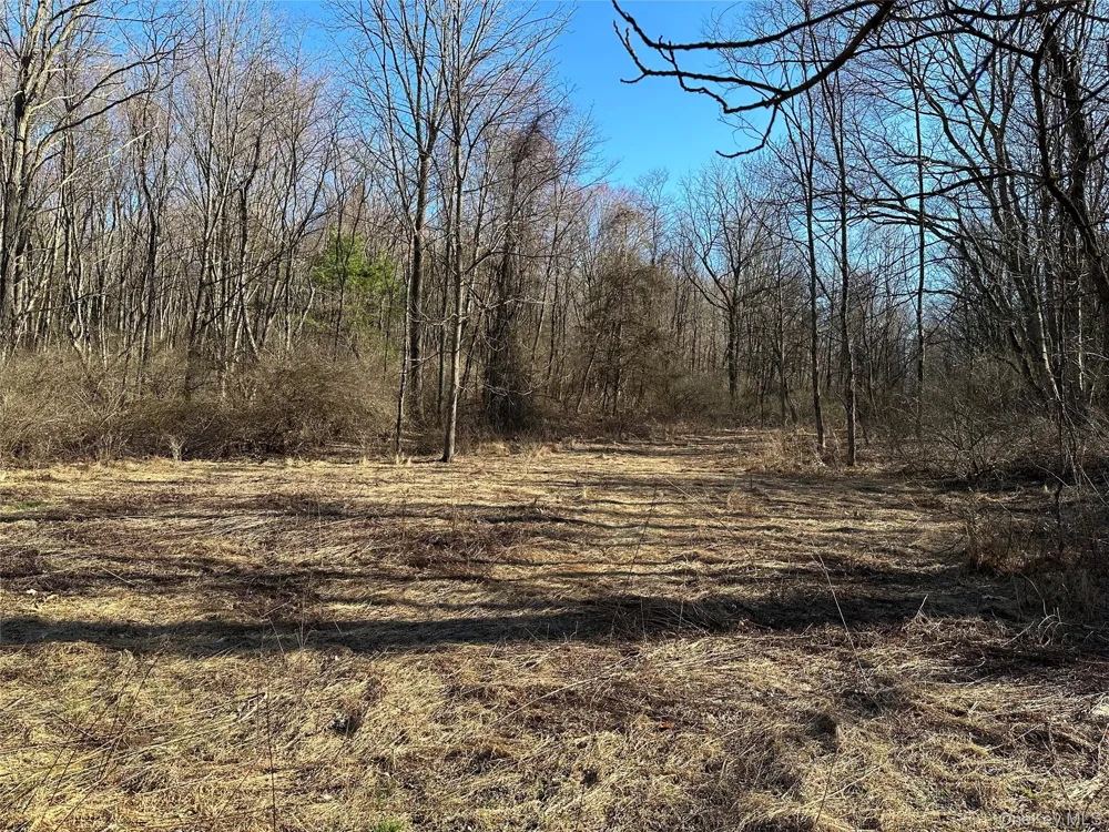 Schoolhouse Road Staatsburg, NY 12580
