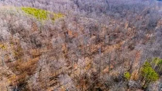 0 White Oak Rd Stewart, TN 37175