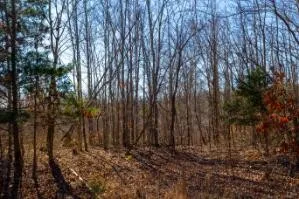 0 White Oak Rd Stewart, TN 37175