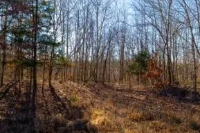 0 White Oak Rd Stewart, TN 37175
