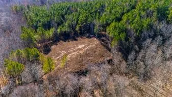0 White Oak Rd Stewart, TN 37175