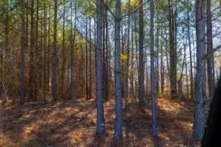 0 White Oak Rd Stewart, TN 37175