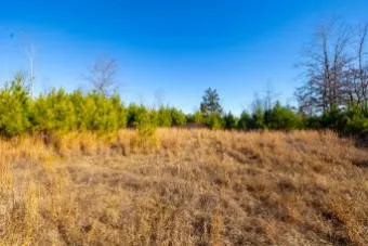 0 White Oak Rd Stewart, TN 37175