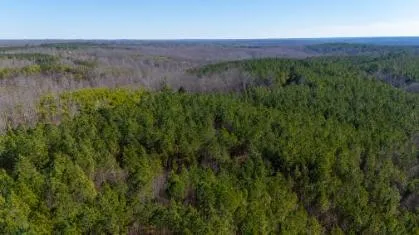 0 White Oak Rd Stewart, TN 37175