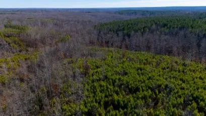 0 White Oak Rd Stewart, TN 37175