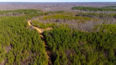 0 White Oak Rd Stewart, TN 37175