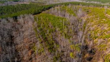 0 White Oak Rd Stewart, TN 37175