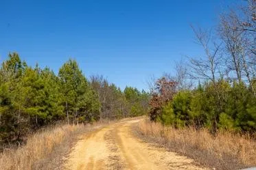 0 White Oak Rd Stewart, TN 37175