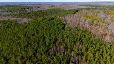 0 White Oak Rd Stewart, TN 37175