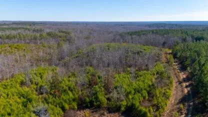 0 White Oak Rd Stewart, TN 37175