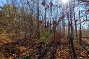 0 White Oak Rd Stewart, TN 37175