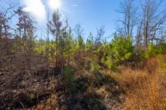 0 White Oak Rd Stewart, TN 37175