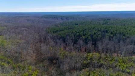 0 White Oak Rd Stewart, TN 37175