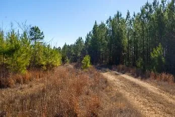 0 White Oak Rd Stewart, TN 37175