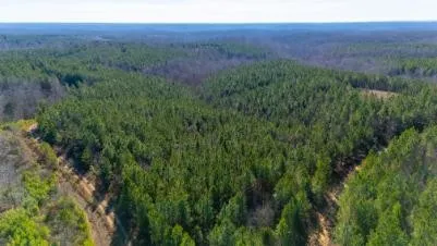 0 White Oak Rd Stewart, TN 37175
