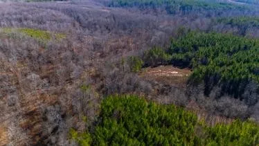 0 White Oak Rd Stewart, TN 37175