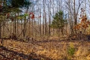 0 White Oak Rd Stewart, TN 37175