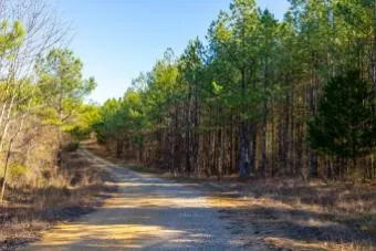 0 White Oak Rd Stewart, TN 37175