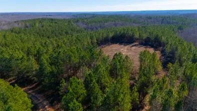 0 White Oak Rd Stewart, TN 37175