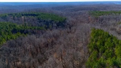 0 White Oak Rd Stewart, TN 37175