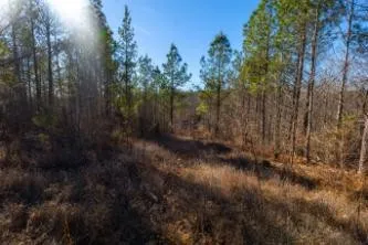0 White Oak Rd Stewart, TN 37175