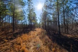 0 White Oak Rd Stewart, TN 37175