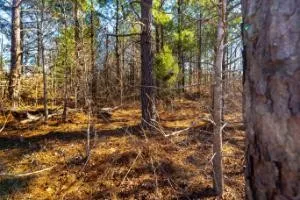 0 White Oak Rd Stewart, TN 37175