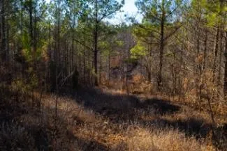 0 White Oak Rd Stewart, TN 37175