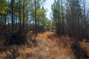 0 White Oak Rd Stewart, TN 37175