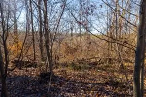 0 White Oak Rd Stewart, TN 37175