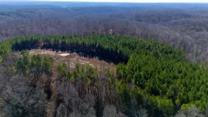 0 White Oak Rd Stewart, TN 37175