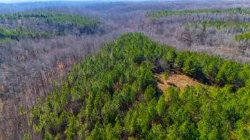 0 White Oak Rd Stewart, TN 37175